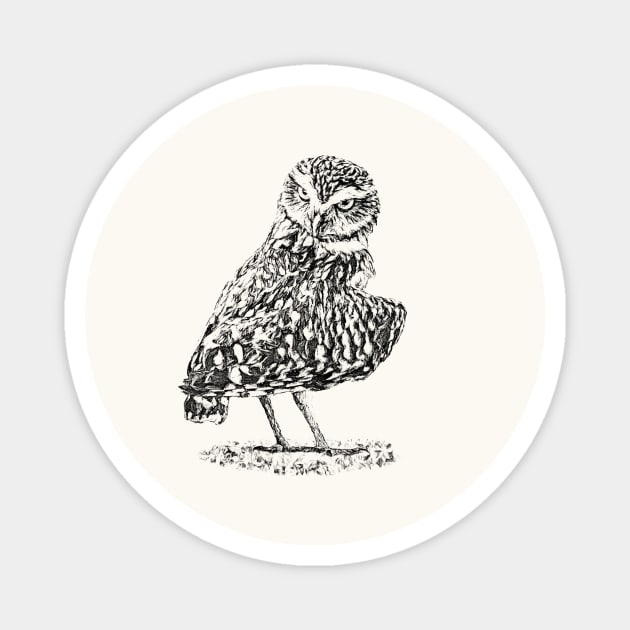 Burrowing owl Magnet by Guardi